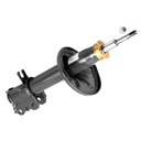 Amortiguador Mazda PROTEGE / 99-03 Trasero Derecho / MONROE 808216 / BOSCH-18-E-3